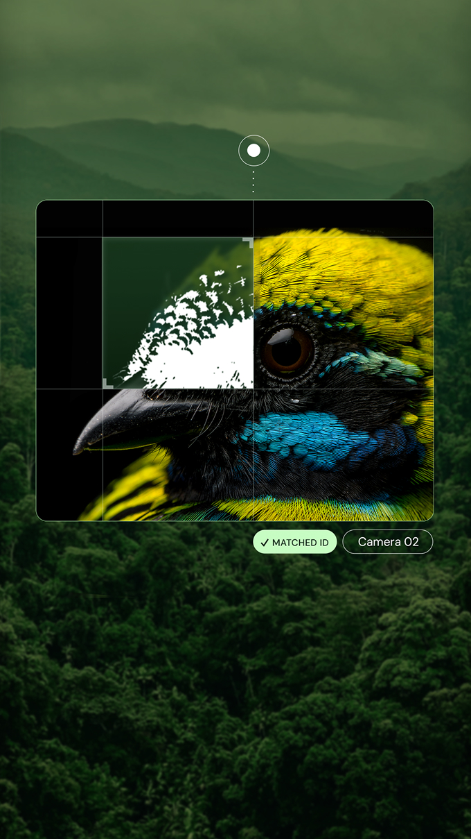 A close-up of a vibrantly colored bird's head is partially overlaid with a digital image identification interface against a blurred forest background.